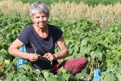 Cursus Zelf Zaden Telen